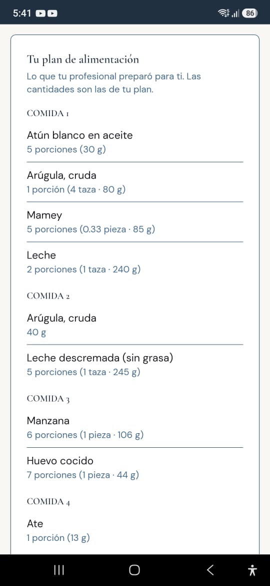 My Wellogi en un celular: el plan de alimentación, comida por comida, con cada alimento y su cantidad.